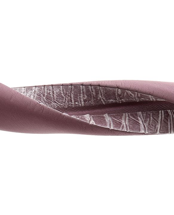 Babyhug Corner & Edge Guards- Brown