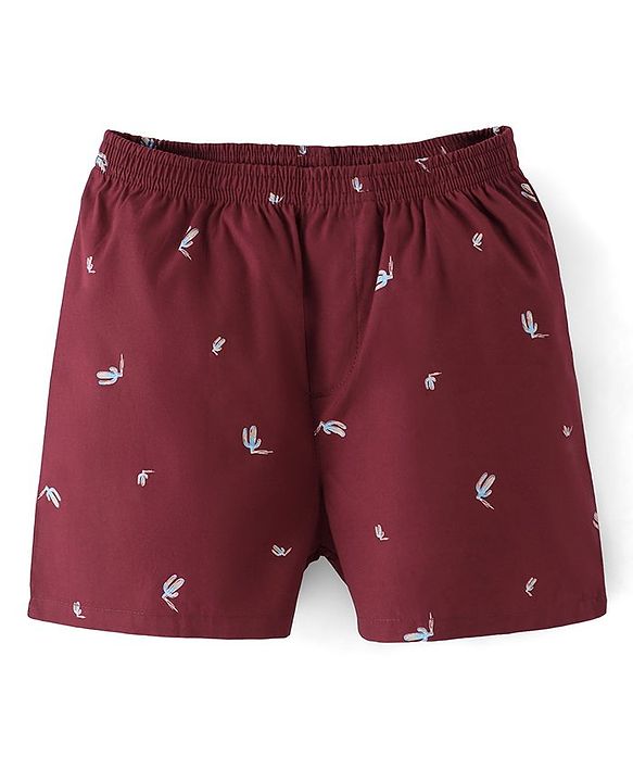 Pine Kids Cotton Elasticated Boxers Cactus Print Pack of 2 (Color May Vary)