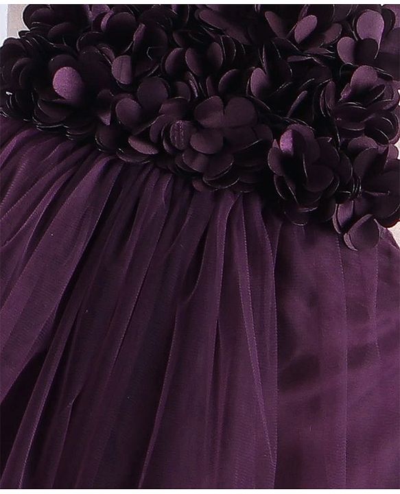 Babyhug Woven Singlet Sleeve Fit and Flare Party Frock with Floral Applique - Wine