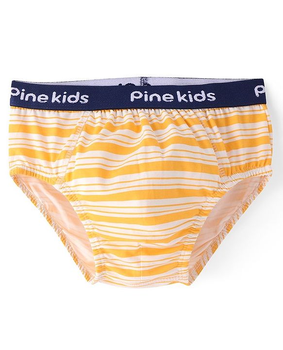 Pine Kids Cotton  Lycra Briefs Pack of 3  (Color May Vary)