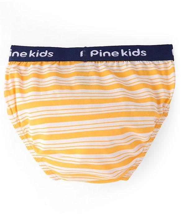 Pine Kids Cotton  Lycra Briefs Pack of 3  (Color May Vary)