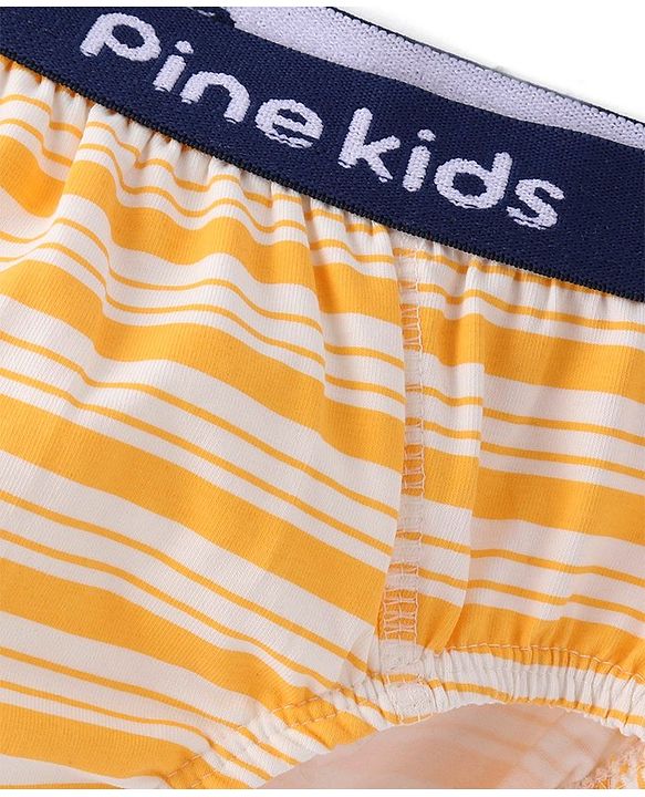 Pine Kids Cotton  Lycra Briefs Pack of 3  (Color May Vary)