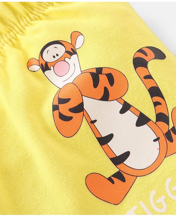 Babyhug Disney Single Jersey Briefs With Winnie the Pooh Graphics  Pack of 3 - Multicolour