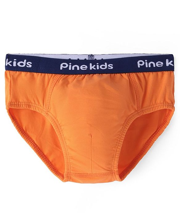 Pine Kids Cotton Lycra Briefs Pack of 3 (Color May Vary)
