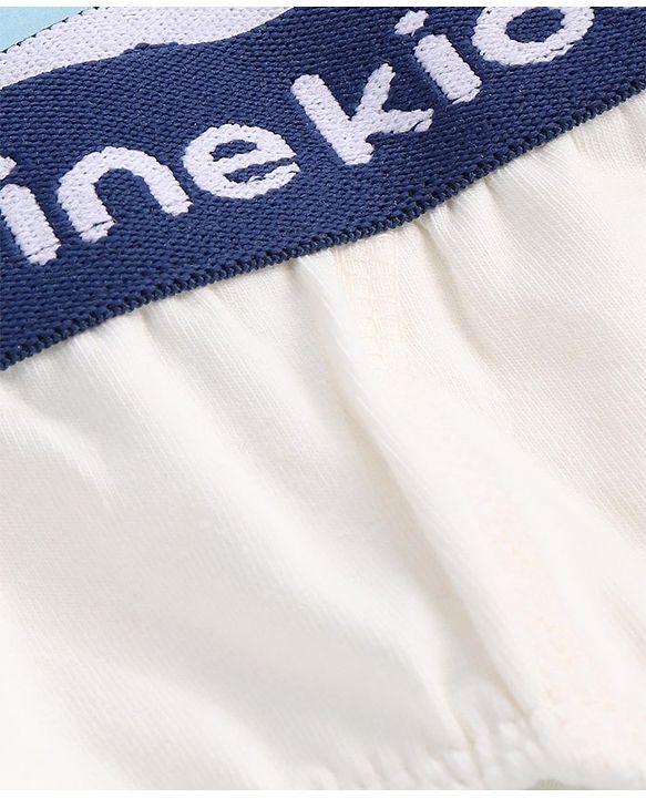 Pine Kids Cotton Lycra Knit Briefs Solid Colour Pack of 3 - Colour May Vary