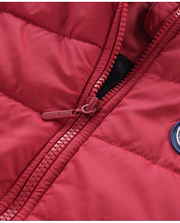 Pine Kids Woven Full Sleeves Padded Jacket with Detachable Hood Text Print - Dark Red