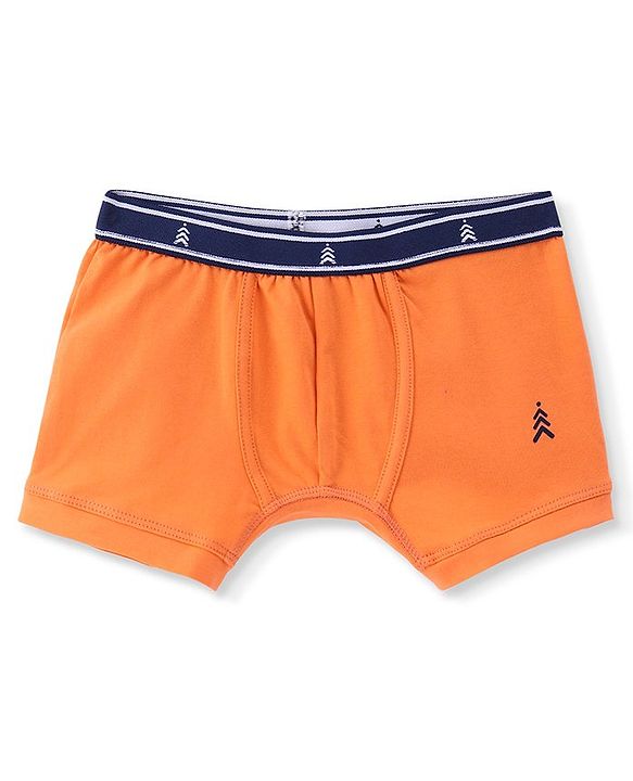 Pine Kids Cotton Spandex Knit Printed Trunks Pack of 3 (Colour May Vary)