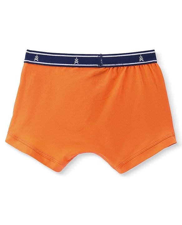 Pine Kids Cotton Spandex Knit Printed Trunks Pack of 3 (Colour May Vary)
