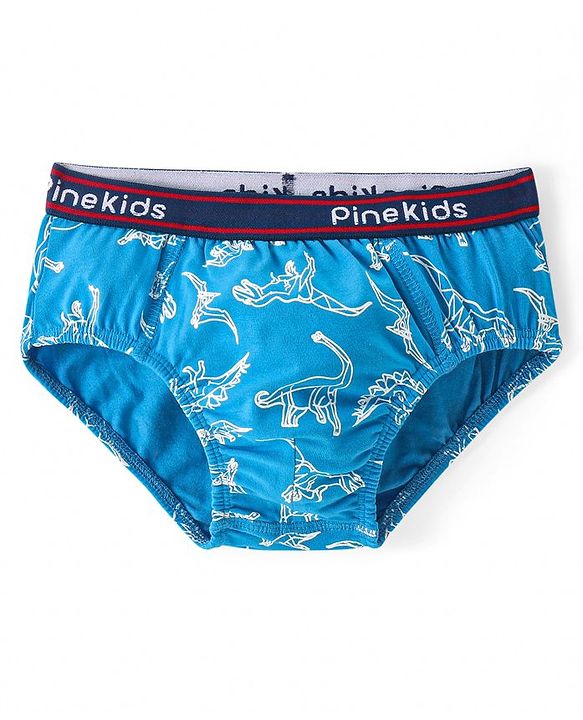 Pine Kids Cotton Spandex Knit Briefs With Stripes & Dino Print Pack of 3 (Color & Print May Vary)