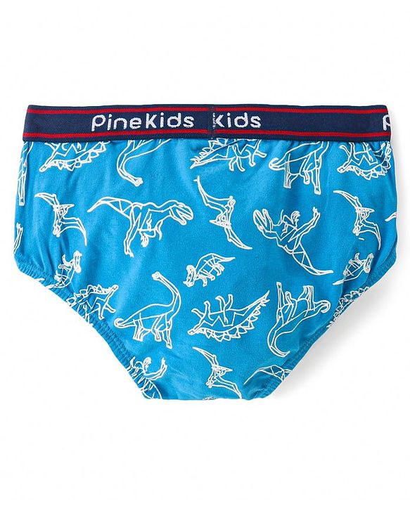 Pine Kids Cotton Spandex Knit Briefs With Stripes & Dino Print Pack of 3 (Color & Print May Vary)