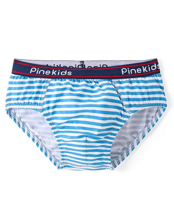 Pine Kids Cotton Spandex Knit Briefs With Stripes & Dino Print Pack of 3 (Color & Print May Vary)