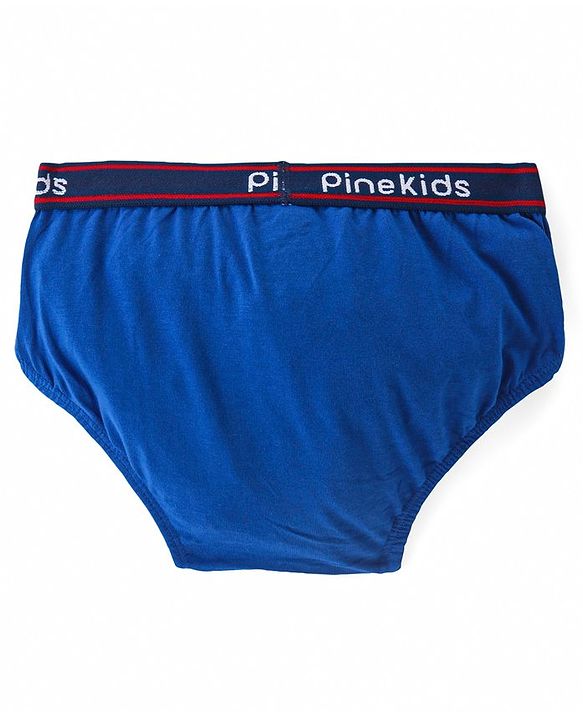 Pine Kids Cotton Spandex Knit Briefs With Stripes & Dino Print Pack of 3 (Color & Print May Vary)