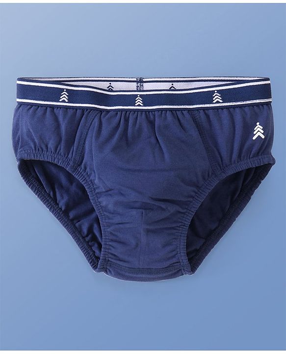 Pine Kids Cotton Spandex Knit Striped & Solid Colour Briefs Pack of 3 (Colour May Vary)