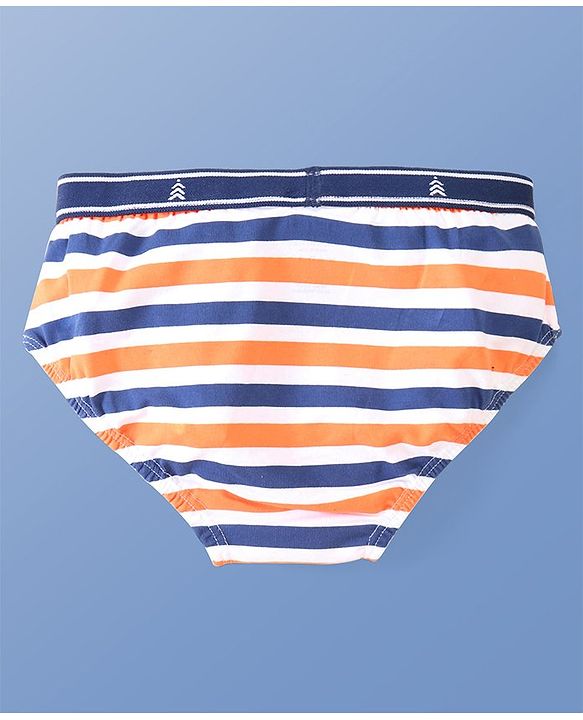 Pine Kids Cotton Spandex Knit Striped & Solid Colour Briefs Pack of 3 (Colour May Vary)