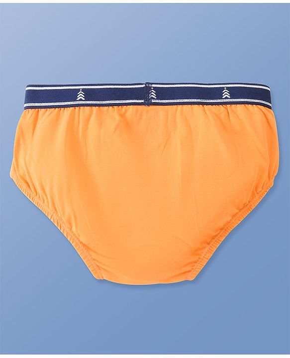 Pine Kids Cotton Spandex Knit Striped & Solid Colour Briefs Pack of 3 (Colour May Vary)