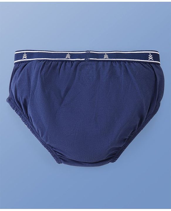 Pine Kids Cotton Spandex Knit Striped & Solid Colour Briefs Pack of 3 (Colour May Vary)