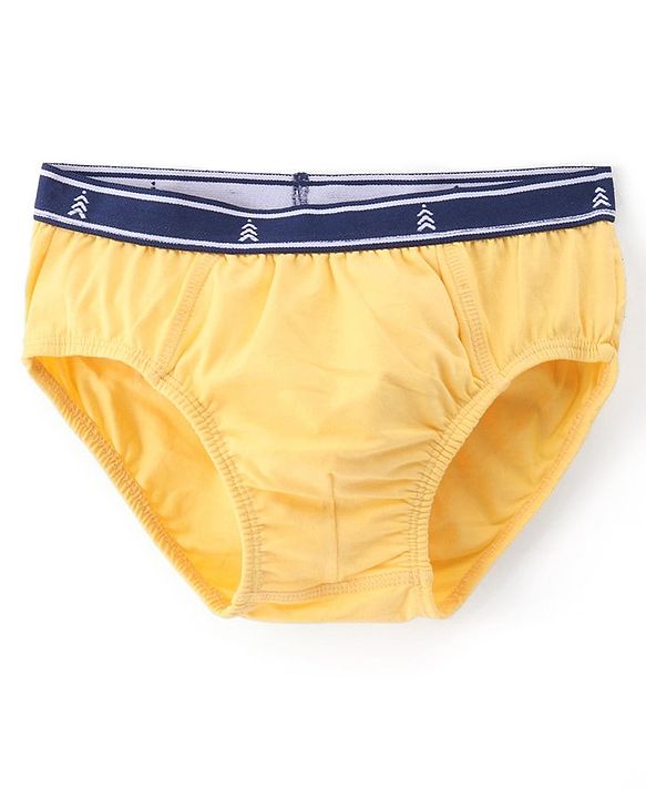 Pine Kids Cotton Lycra Knit Briefs Pack of 3 (Color & Print May Vary)