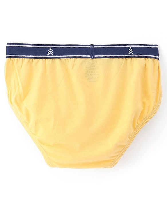Pine Kids Cotton Lycra Knit Briefs Pack of 3 (Color & Print May Vary)