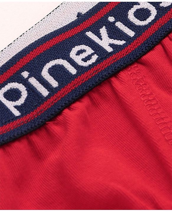 Pine Kids Cotton Lycra Knit Briefs Pack of 3 (Color & Print May Vary)