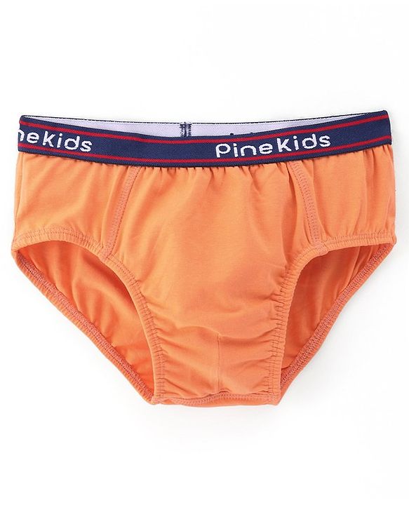 Pine Kids Cotton Spandex Knit Solid Color Briefs Pack of 3 (Color May Vary)