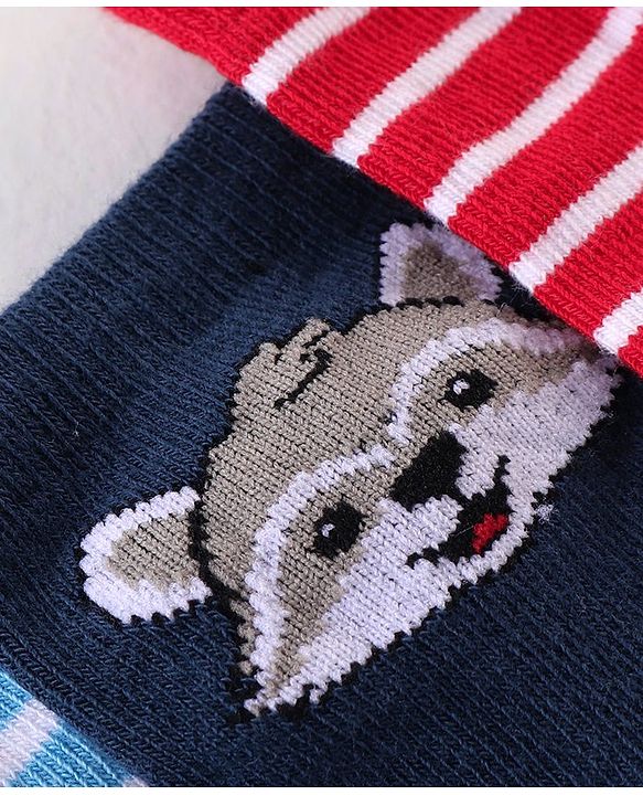 Cutewalk By Babyhug Anti Bacterial Ankle Length Striped & Teddy Bear Design Socks Pack of 5 - Blue Red & White