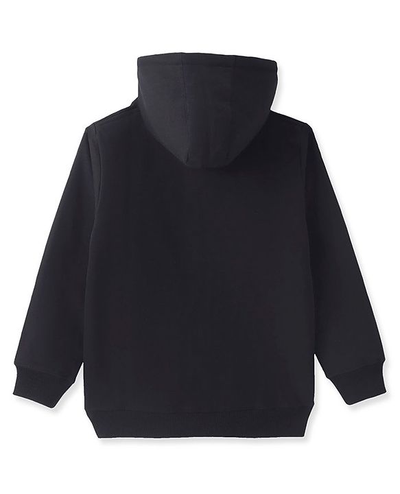 Pine Kids Knit Full Sleeves Hooded Solid Colour Sweatshirt with Kangaloo Pockets- Light Green