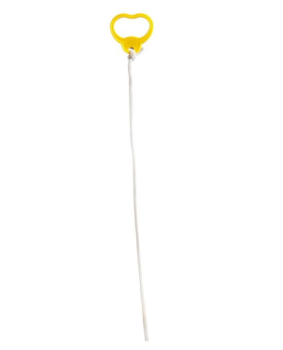 Babyhug Premium Battery Operated Snail Pull Along Toy With Music & Lights - Sky Blue