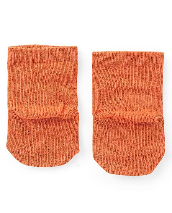 Cute Walk by Babyhug Knit Anti-Bacterial Ankle Length Socks with Raccoon & Bear Design Pack of 3 - Orange Green & Blue
