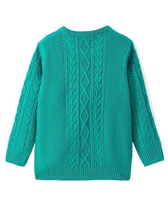 Pine Kids Knitted Full Sleeves Pullover Sweater with Cable Knit Design - Sea Green