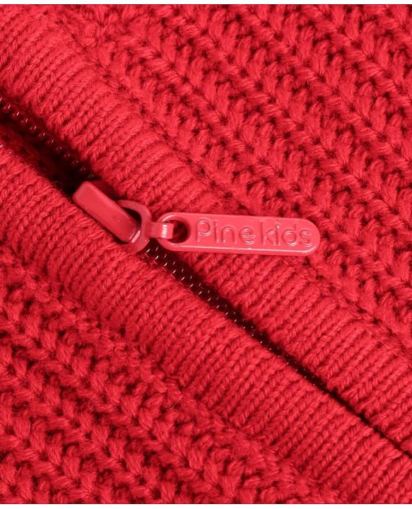 Pine Kids Knit Full Sleeves Pullover Solid Colour- Red