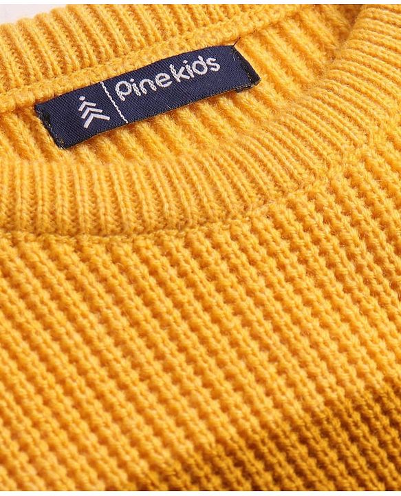 Pine Kids Knitted Full Sleeves Striped Pullover - Multicolor