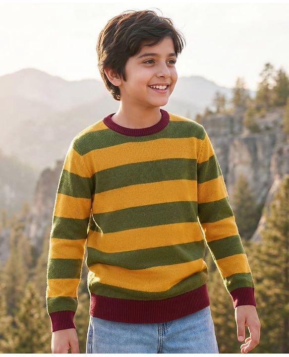 Pine Kids Knitted Full Sleeves Striped Pullover - Multicolor