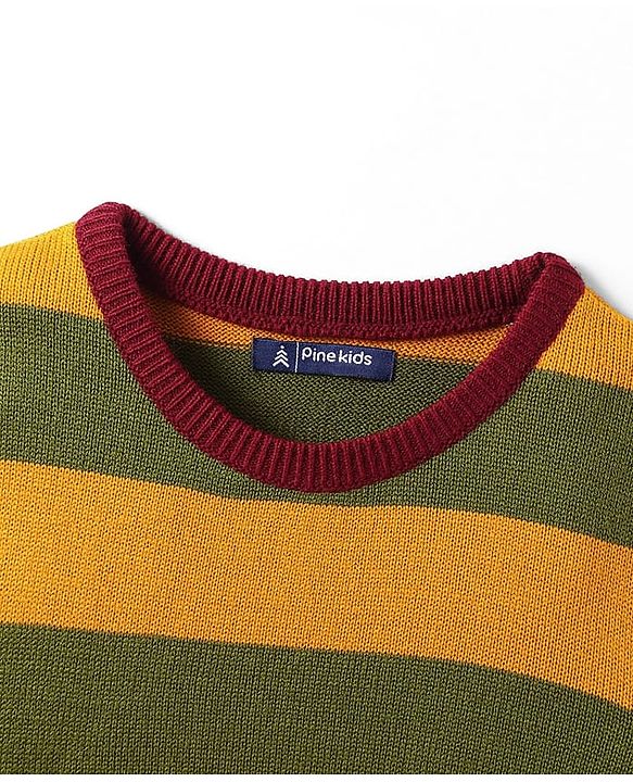 Pine Kids Knitted Full Sleeves Striped Pullover - Multicolor