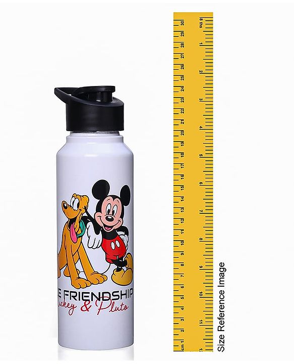 Babyhug Disney Mickey & Friends Stainless Steel Water Bottle|Leak Resistant|BPA Free|Rust Proof|750ml