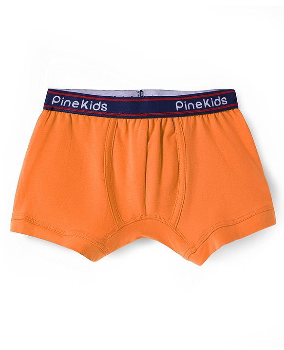 Pine Kids Cotton Elastane Knit Solid Colour Trunks Pack of 3 (Colour May Vary)