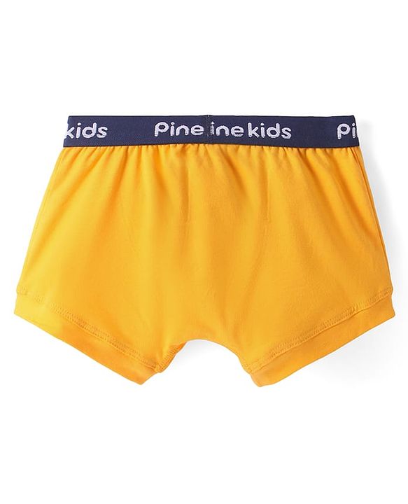 Pine Kids Cotton Knit Trunks with Stripes Pack of 3 (Color May Vary)