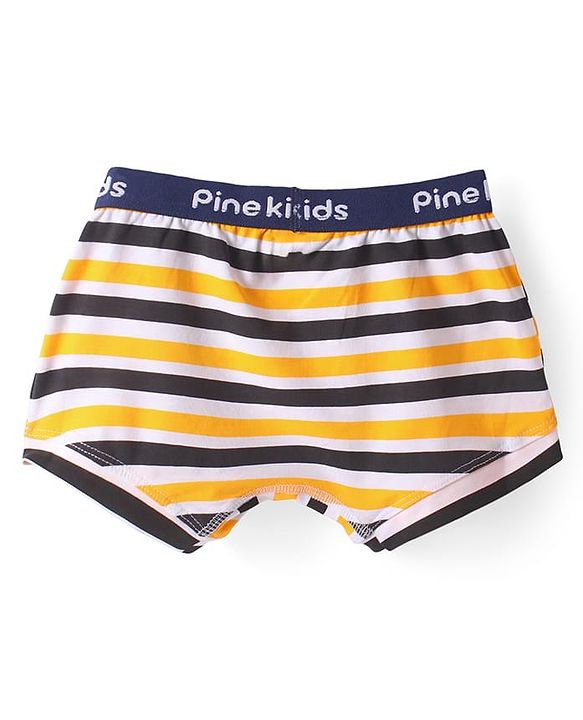 Pine Kids Cotton Knit Trunks with Stripes Pack of 3 (Color May Vary)