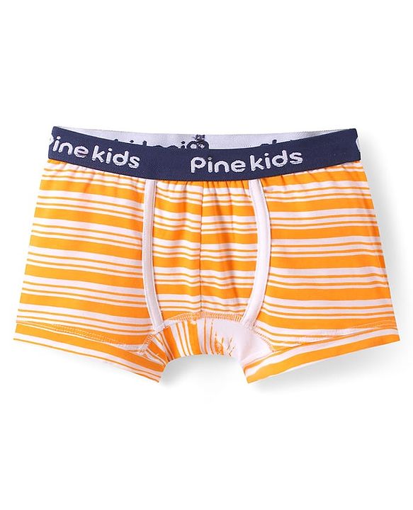 Pine Kids Cotton Knit Trunk with Stripes Pack of 3 (Color May Vary)