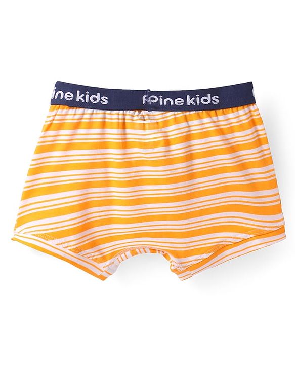 Pine Kids Cotton Knit Trunk with Stripes Pack of 3 (Color May Vary)