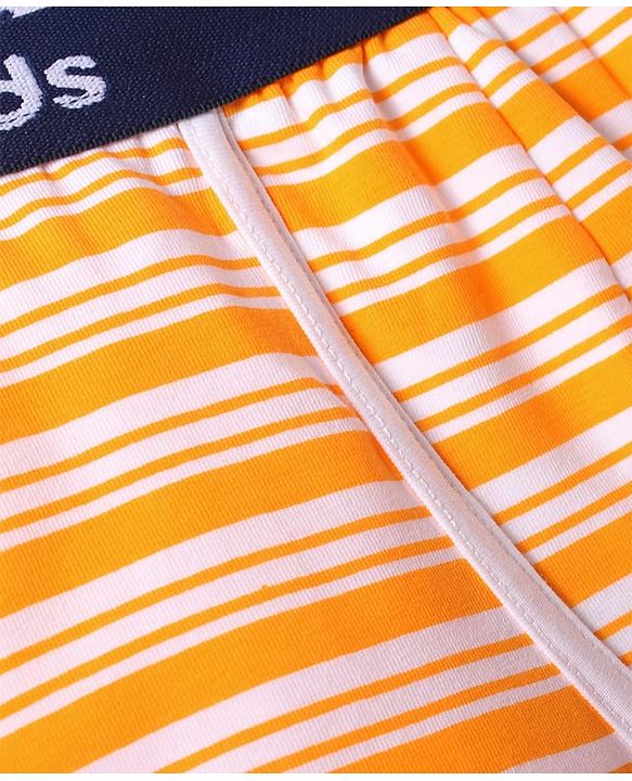 Pine Kids Cotton Knit Trunk with Stripes Pack of 3 (Color May Vary)