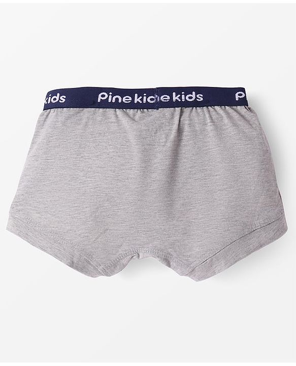 Pine Kids Cotton Knit Trunks With Stripes Print Pack Of 3 - Color May Vary