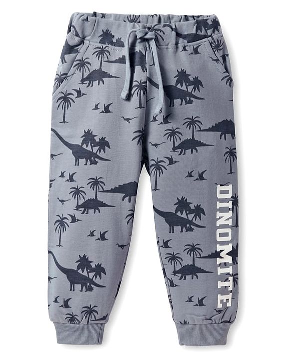 Babyhug Terry Knit Full Length Lounge Pant With Dino & Text Print - Grey