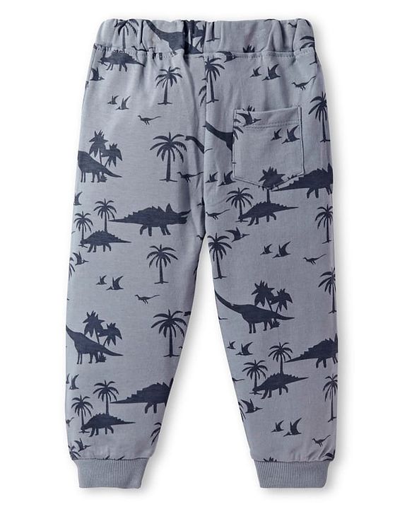 Babyhug Terry Knit Full Length Lounge Pant With Dino & Text Print - Grey