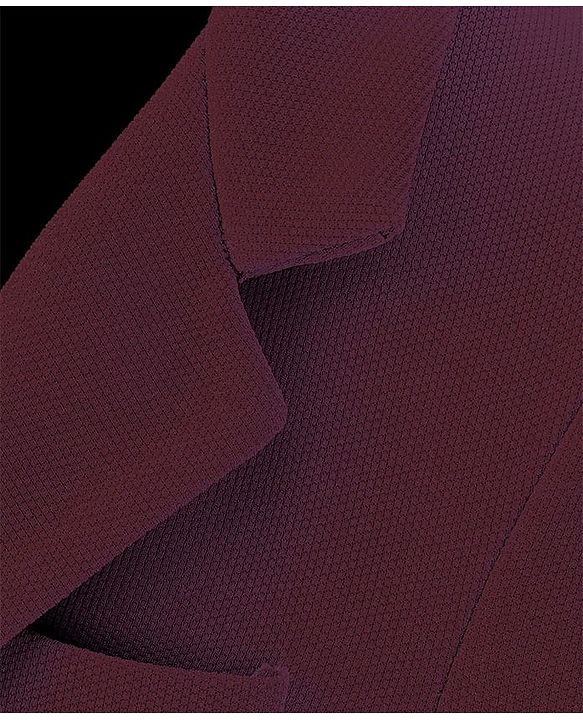 Pine Kids Knit Full Sleeves Solid Color Blazer - Wine