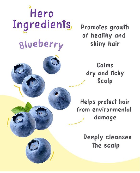Pine Kids Blueberry Shampoo & Conditioner Pack of 2 -   250 ml each