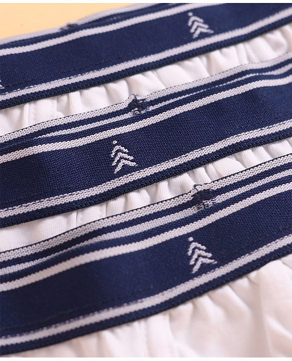 Pine Kids Cotton Elastane Knit Solid Color Briefs Pack of 3 (Color May Vary)