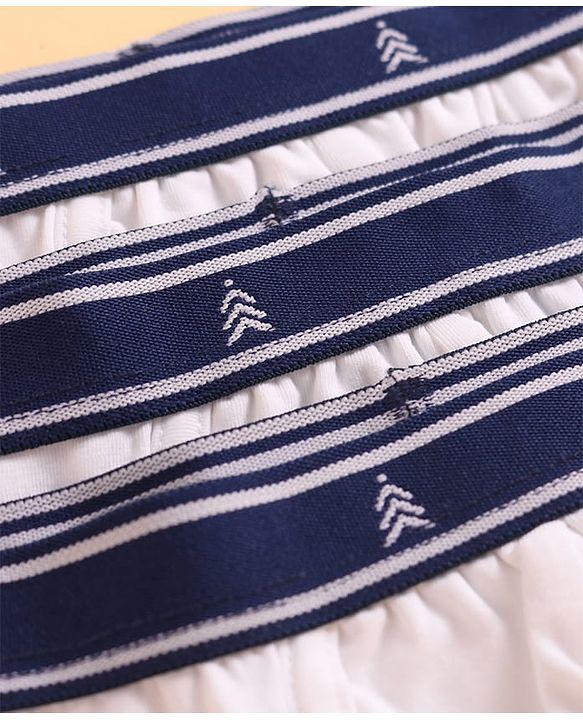Pine Kids Cotton Elastane Knit Solid Color Trunks Pack of 3 (Color May Vary)