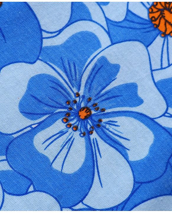 Pine Kids Cotton Knit Frill Sleeves Top With Floral Print - Blue