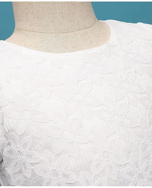 Pine Kids Woven Half Sleeves Mesh Party Dress with Bow Applique & Floral Detailing - White