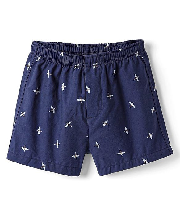 Pine Kids Cotton Knit Boxers with Hot Air Balloon & Bird Print Pack of 2 (Color May Vary)